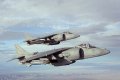 AV-8B Harrier II