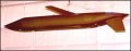 General Dynamics AGM-129A Advanced Cruise Missile