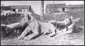 Whiskey & Soda mascots