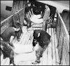 Men unloading plane