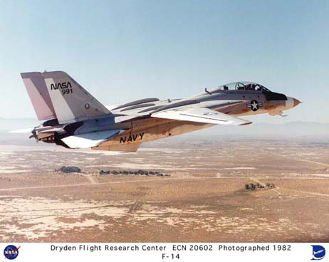 F-14 in flight