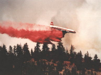 California, summer of 1994 fire