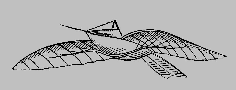 Jean-Marie LeBris' "Albatross" Glider, 1867