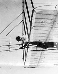 please see caption below