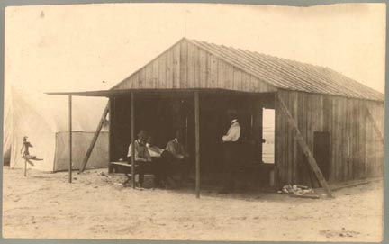 please see caption below