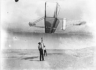 please see caption below