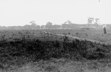 please see caption below