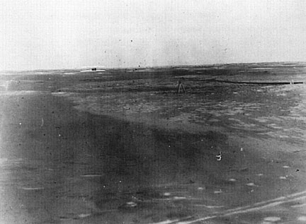 please see caption below