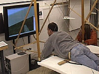 Flight simulator development