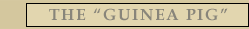 The Guniea Pig