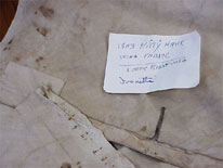 The Pride of the West